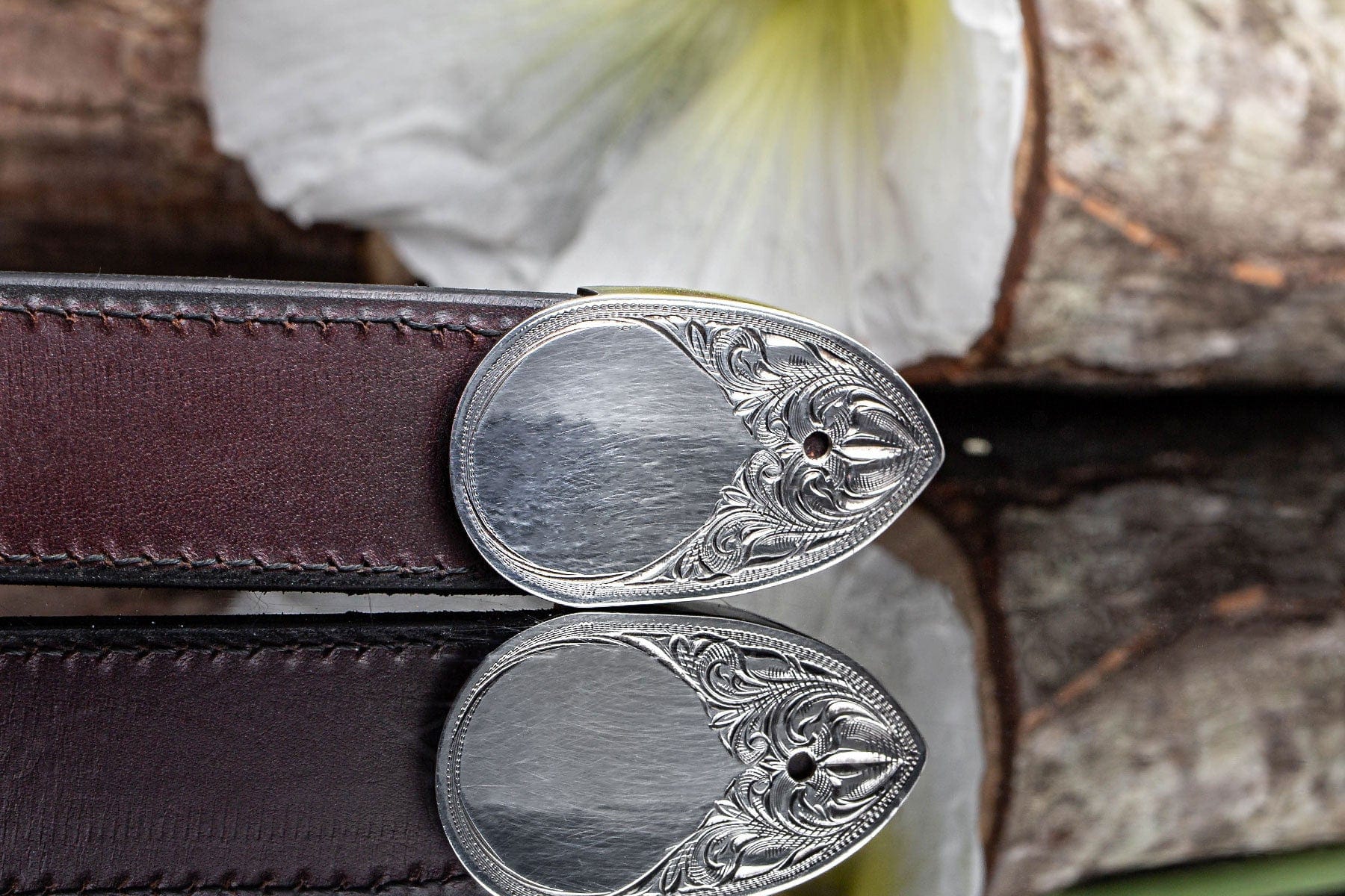 Taylor 1838 - AXEL'S