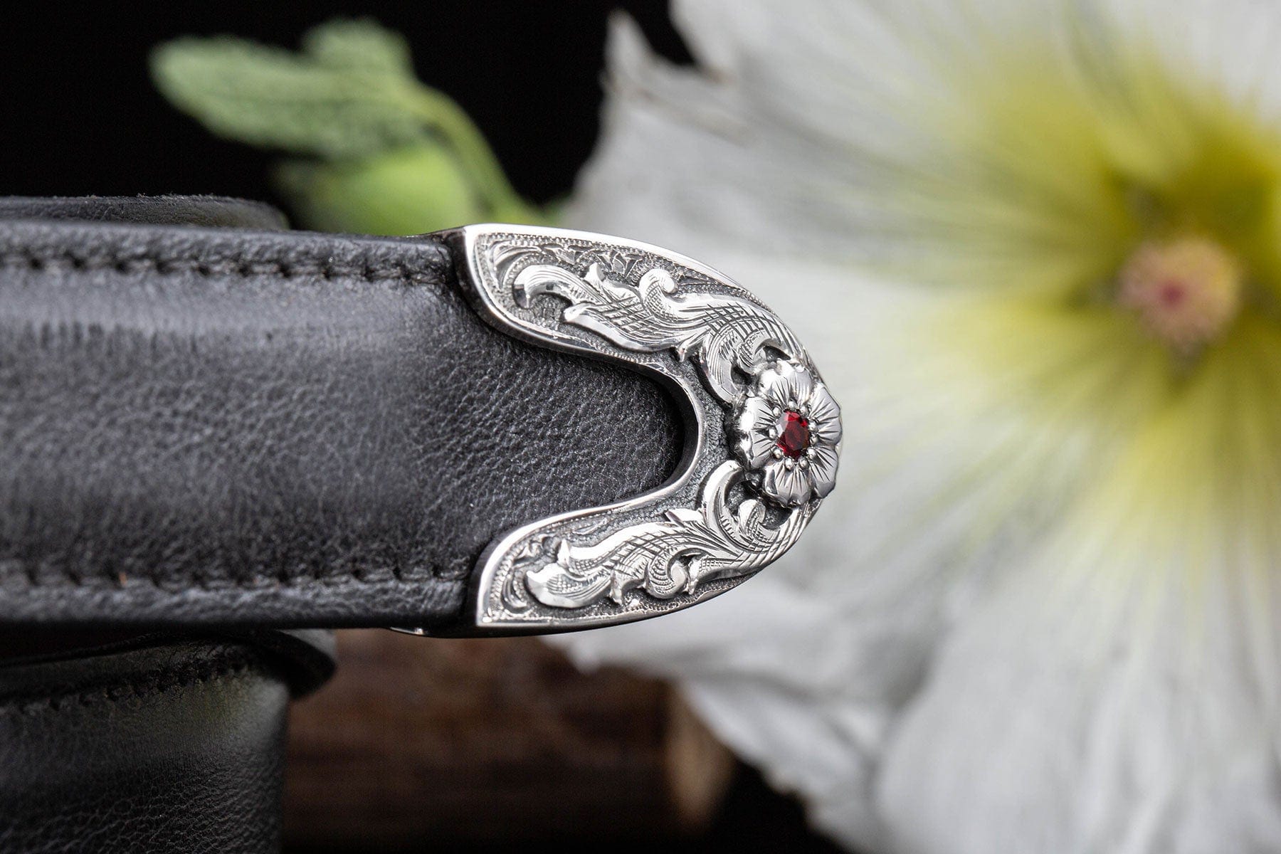 Taylor 1838 - AXEL'S