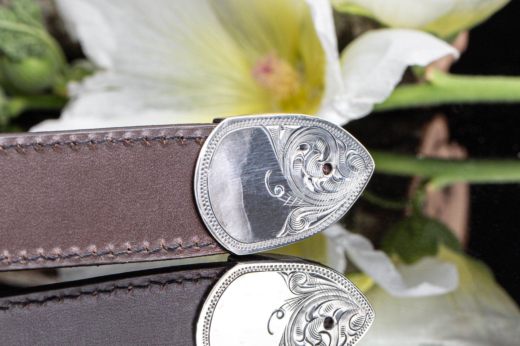 Taylor 1841 - AXEL'S